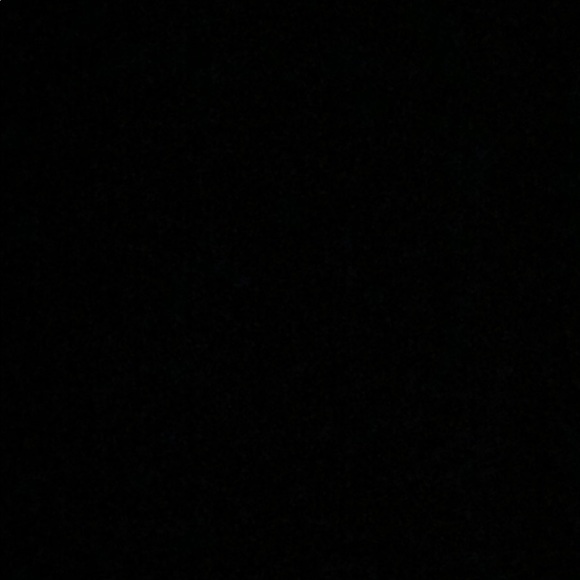 Meet your Posher, Max - Picture 1 of 1